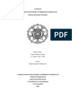 Model Biomass Dinamis