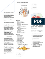 Sistem Saraf Pada Ikan