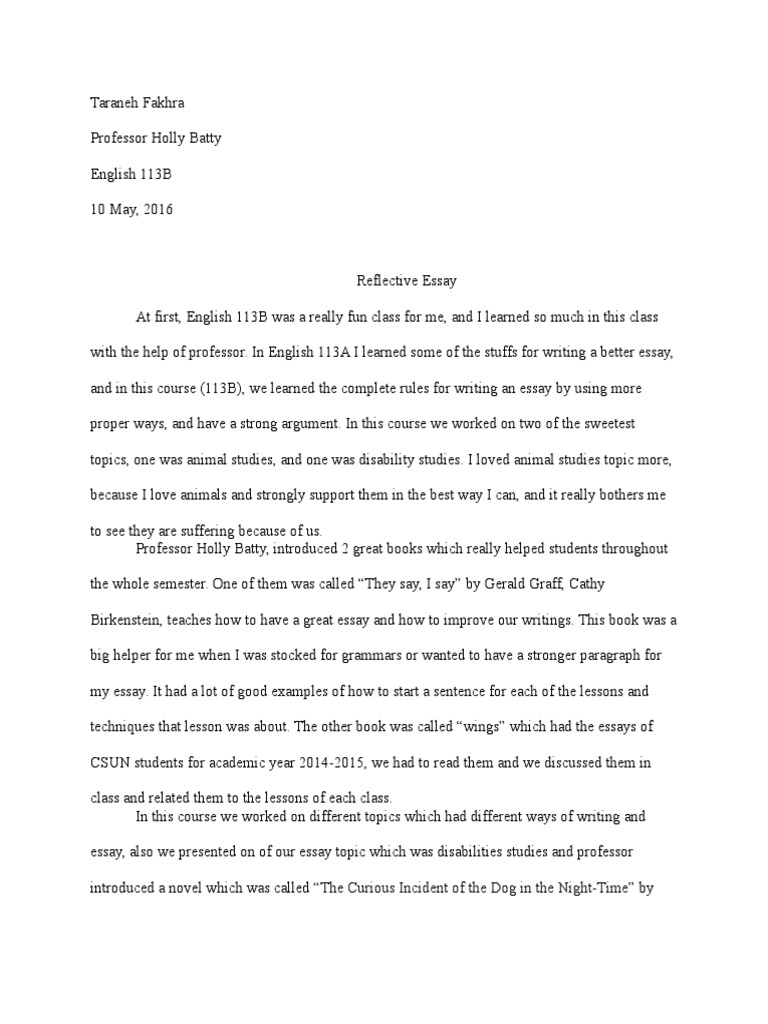 Concert report essay for my music class