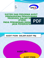 Sistem Dan Pedoman Audit p3dn