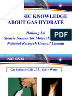 The Basic Knowledge About Gas Hydrate