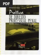 Dto Processual Penal (Práticas) 2010 - Paula Andrade