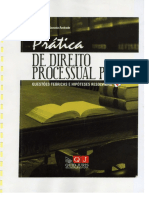 Dto Processual Penal (Práticas) 2010 - Paula Andrade