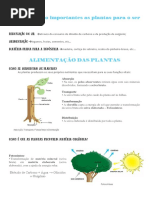 Porque são importantes as plantas para o ser humano.pdf