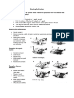 Starting Cultivation Doc 1 PDF