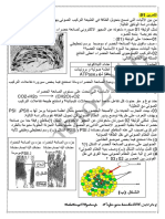 07 تمارين في التركيب الضوئي بدون اجابة