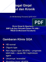 gagal-ginjal-akut-dan-kronik.ppt