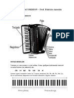 Curso de acordeon - Partes e notas musicais