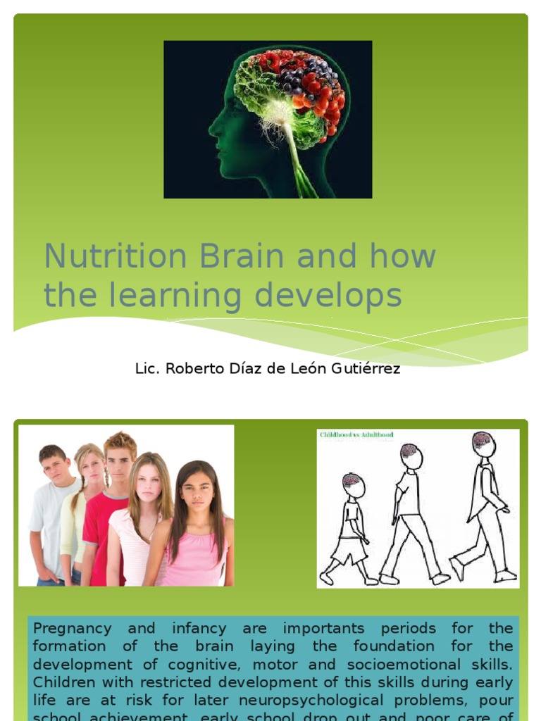 Nutrition's Impact on Brain Development | PDF