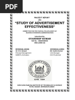 Advertisement-Effectiveness project report.pdf
