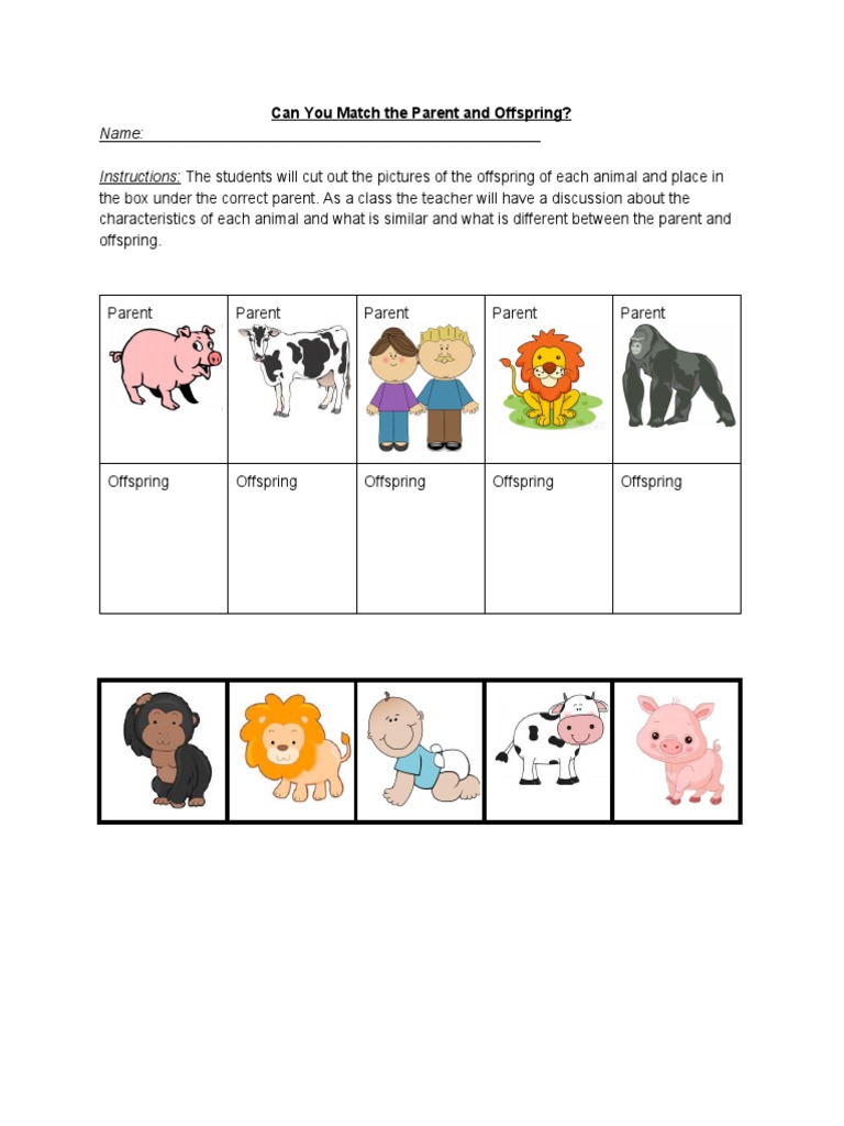 Match Parent and Offspring Activity | PDF