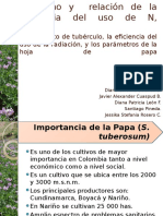 Exposicion Fisiologia Nitrogeno y Papa