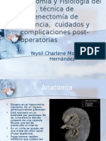 Anatomía y Fisiología Del Bazo