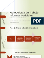 Metodología de Trabajo Pericial