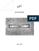 Magnetismo Rev. 1