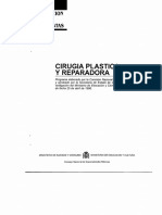 Cirugia Plastica Estetica y Reparadora