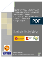 Coconut Firm Level VCA_2009_Caraga.pdf