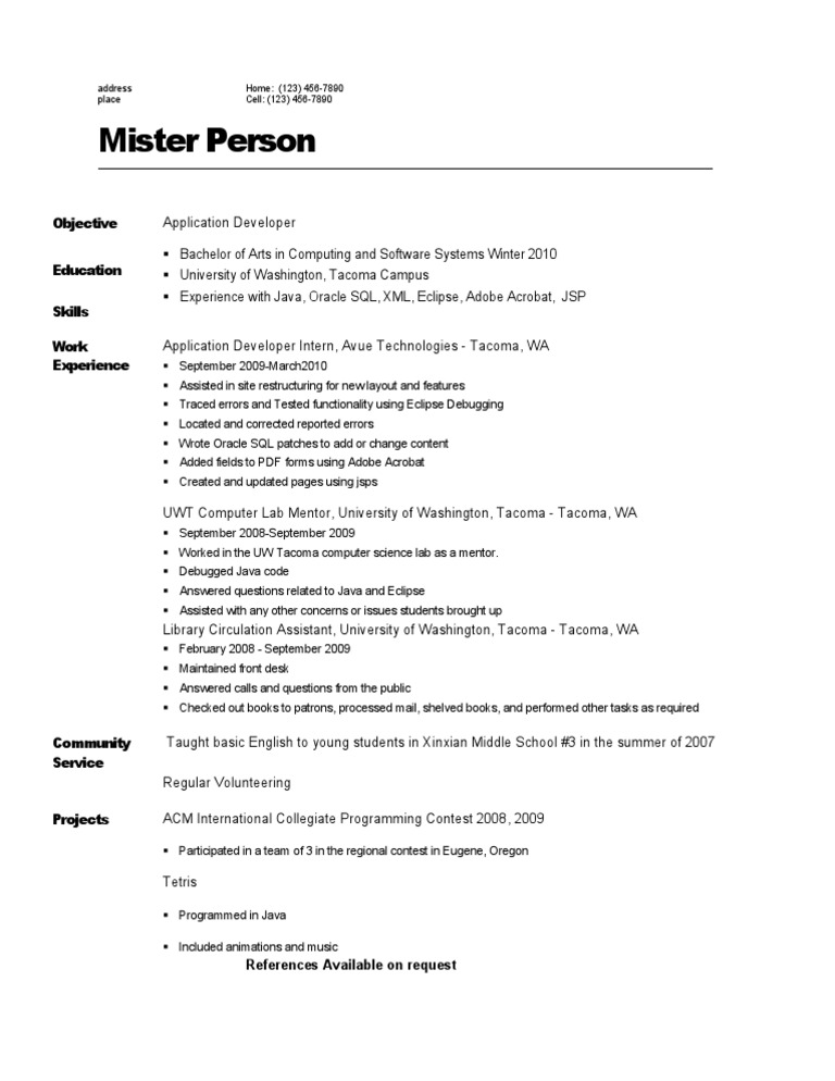Application Developer Resume Summary | PDF