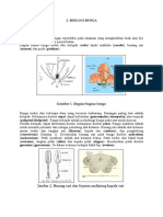 Modul Pemultan Materi 2