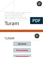 TURAM (Interpretasi)