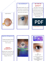 Leaflet Glaukoma