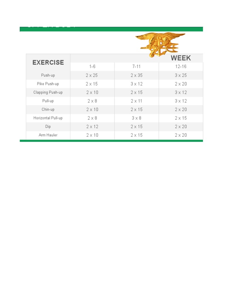 Upper Body Workout Plan: Weeks 1-26 | PDF