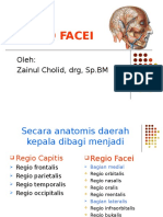 Anatomi Facei