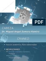 exposición de cabeza