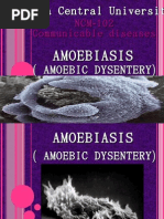 Download amoebiasis ppt by Fevie Marie Aguilar SN31237037 doc pdf