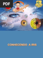 Aula  Iridologia Introdução