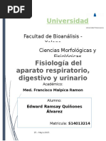 Fisiología Del Aparato Respiratorio