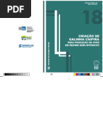 18 - Criação de Galinha Caipira Para Produção de Ovos Em Regime Semi-Intensivo