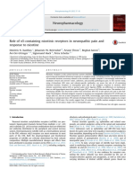 Role of Alpha5-Containing Nicotinic Receptors in Neuropathic Pain and