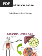 Algorithms in Nature: (Brief) Introduction To Biology