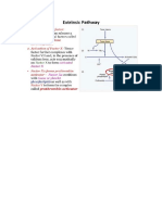 Extrinsic Pathway