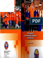 Reglamento de Uniformes Insignias y Distintivos DCC PDF