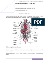 Anatomia e Fisiologia Humana Emerson1