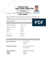 Curriculum Vitae Tello