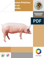 Manual Porcinos 2008 Sagarpa