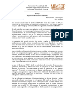 Ensayo de Regulación Económica