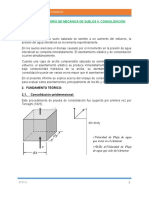 laboratorio de consolidacion