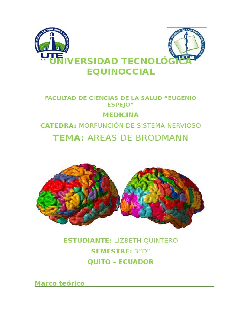 Areas de Brodmann Neurobiology Earth & Life Sciences