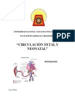 Expo Circulacion Fetal