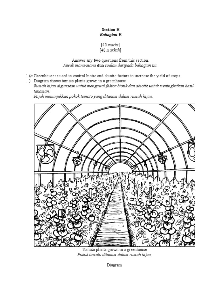 Section B | PDF