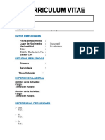 Curriculum Vitae Vacio para Editar