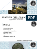 Contenido Examen I Anatomía Patológica, Transcripción - Apuntes