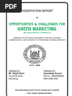 Dissertation project on green marketing video