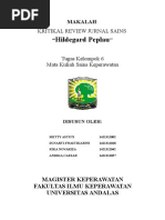Download MAKALAH PEPLAU by sunarti swastikarini SN312458032 doc pdf