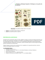 5- BOTANICA INTRODUCCIÓN 2.doc