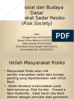 Risk Society